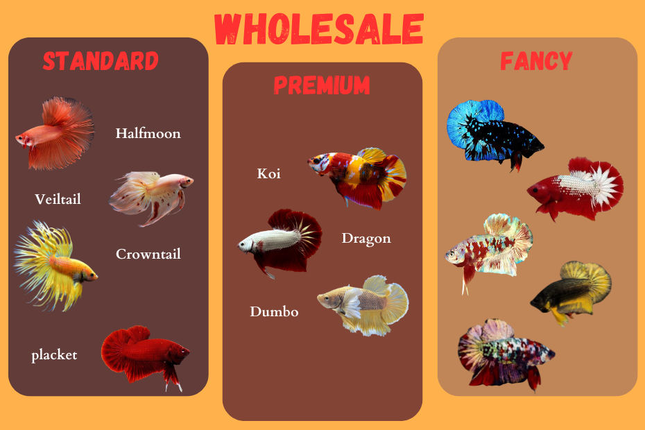 wholesale
